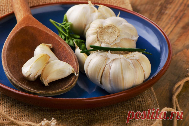 Чеснок для здоровья комнатных растений