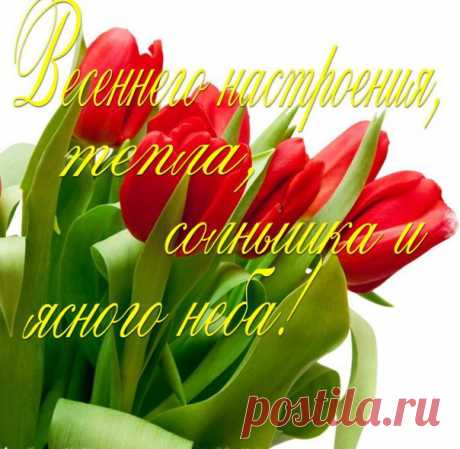 любимые цветы