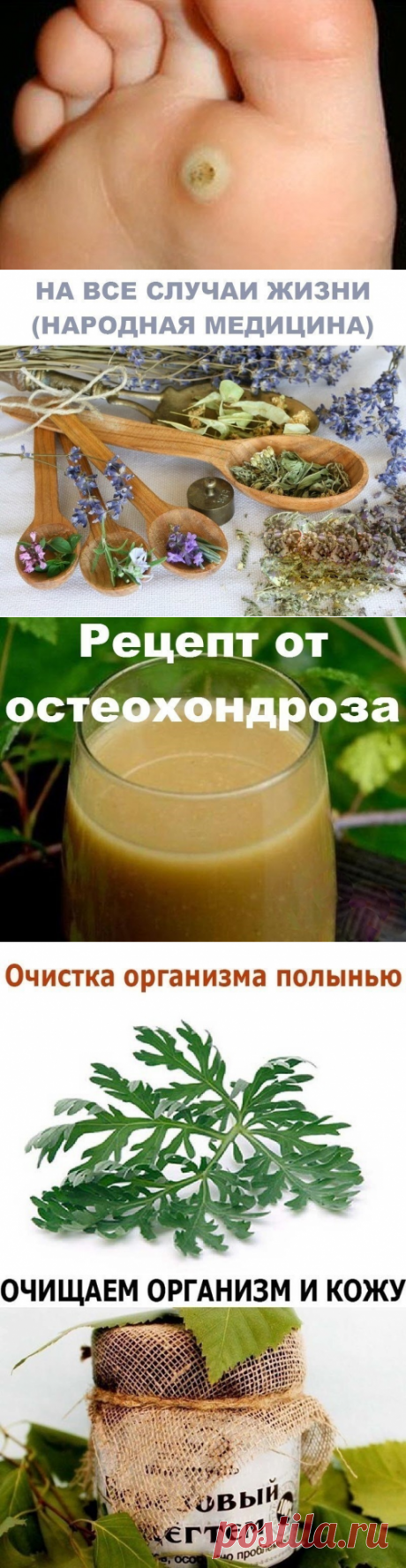 (45) Одноклассники