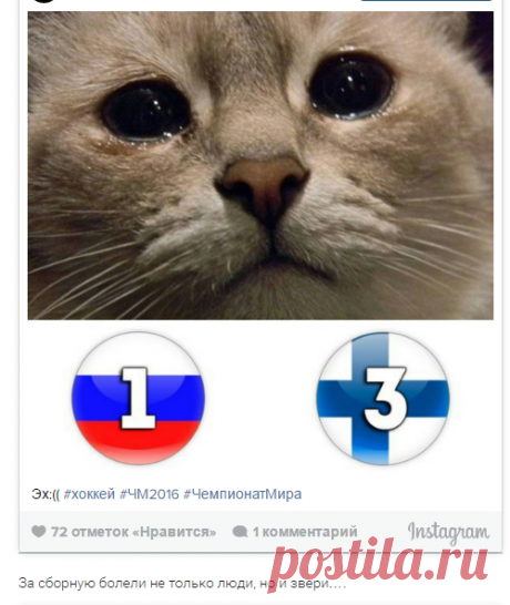 Россия проиграла домашний ЧМ: реакция соцсетей — Спорт Mail.Ru