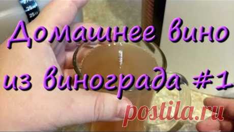 Домашнее Вино Из Винограда Изабелла Простой Рецепт #1