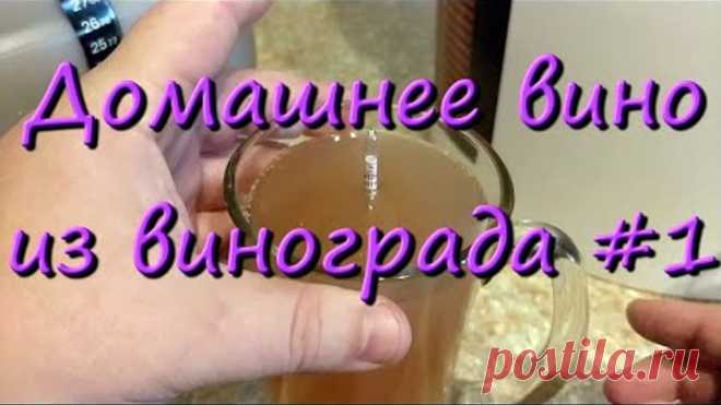 Домашнее Вино Из Винограда Изабелла Простой Рецепт #1
