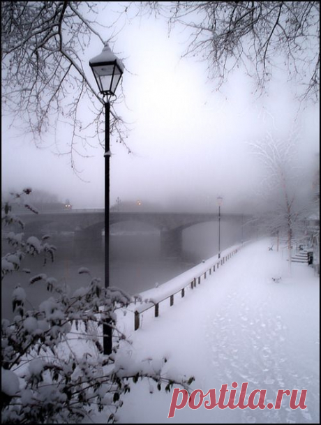 (10) Tumblr