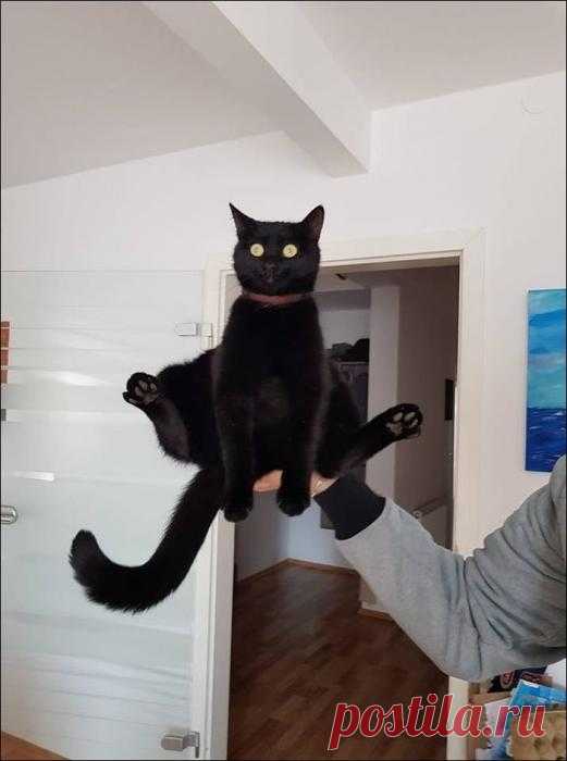 Удобно!