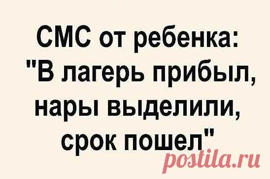 Вечерняя подборка юмора, который заставит смеяться каждого