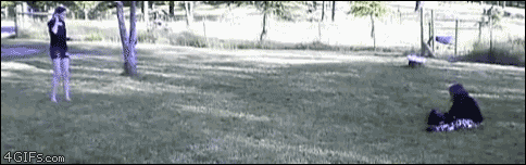 Забавные и симпатичные котики