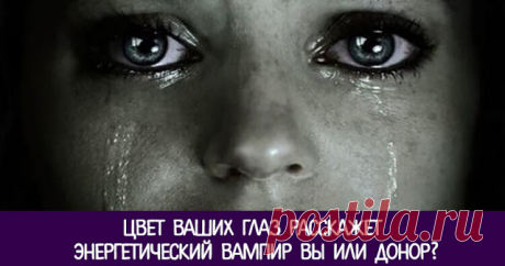 Цвет Ваших глаз расскажет — энергетический вампир вы или донор? 


Цвет глаз может многое рассказать о вашем характере, о внутренней энергетике и даже о том, какой должна быть ваша половинка.
 
 
Говорят, что глаза — зеркало души. Радость и гнев, любовь и тоску мо…