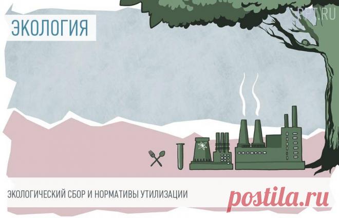 2023-Ставки экологического сбора и нормативы утилизации Ставки экологического сбора на 2023 год варьируются от 2378 до 33 476 рублей за тонну. Все зависит от группы товаров и упаковки, подлежащих утилизации.