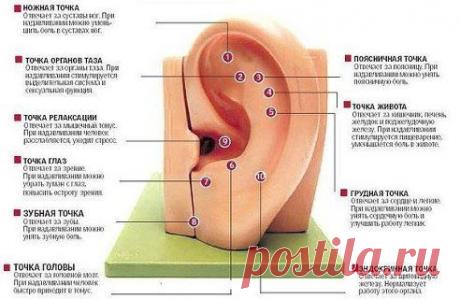 Быстрый массаж на все случаи жизни