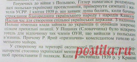 Украинские школьники узнают, что у Гитлера болела душа из-за страданий украинского народа.