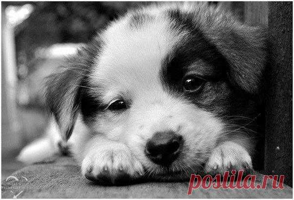 Фотографии на стене сообщества – 40 240 фотографий | ВКонтакте