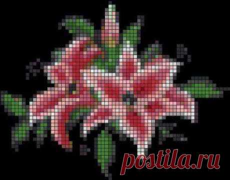 Одноклассники