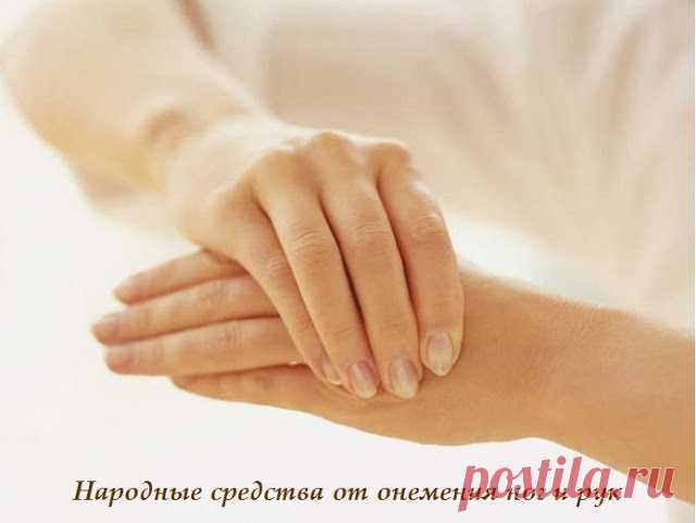 Здоровье в наших руках: НАРОДНЫЕ СРЕДСТВА ПРОТИВ ОНЕМЕНИЯ РУК И НОГ