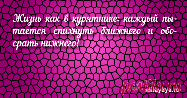 Красивый статус со смыслом в картинках из жизни для женщин (картинка 253) . Милая Я