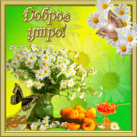 73c7a62fa46a04f76096bb45f02a47dl.gif (600×600)