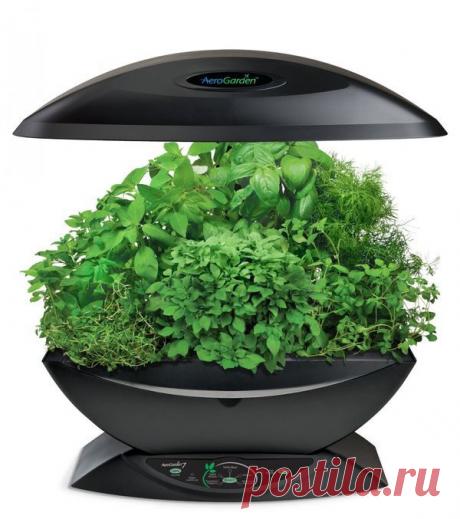 6 умных устройств для выращивания зелени на подоконнике / портативные огороды / 7dach.ru