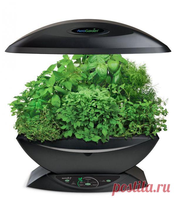 6 умных устройств для выращивания зелени на подоконнике / портативные огороды / 7dach.ru