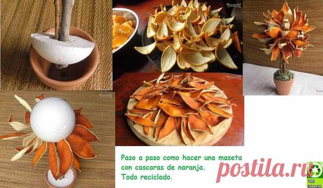 САМ СЕБЕ ДИЗАЙНЕР
Ирина Соломахина