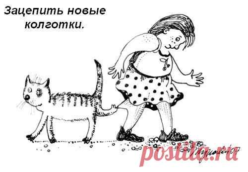 Кошачий кодекс