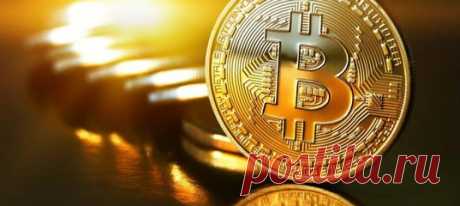 https://bagsatoshi.com/?r=7891 *выплаты каждую пятницу, для balanes за 0.00020000 БТЦ. Этот процесс автоматически!