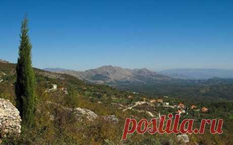 Momir Matkovic - Momir Matkovics Fotos | Facebook
