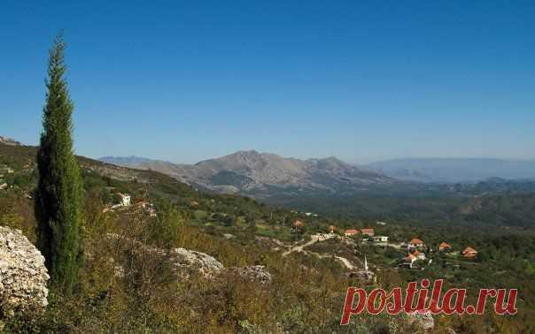 Momir Matkovic - Momir Matkovics Fotos | Facebook