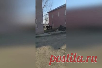 Мигранты избили возвращавшегося с могилы матери россиянина и попали на видео. В Новосибирске толпа мигрантов избила возвращавшегося с кладбища россиянина. Мужчина навещал могилу недавно похороненной матери. На видео несколько человек бьют ногами лежащего на земле мужчину и не обращают внимания на попытки наблюдавших за происходящим женщин прекратить драку.
