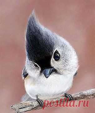 Муж-жене - Ты моя птичка)))
Жена - А какая?
Муж - Мозгоклюйка! )))))