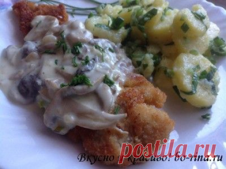 Панированная рыба с грибным соусом и картофельным салатом