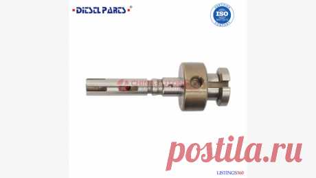 Rotor head injection pump head seal replacement | Same | Tanzania...