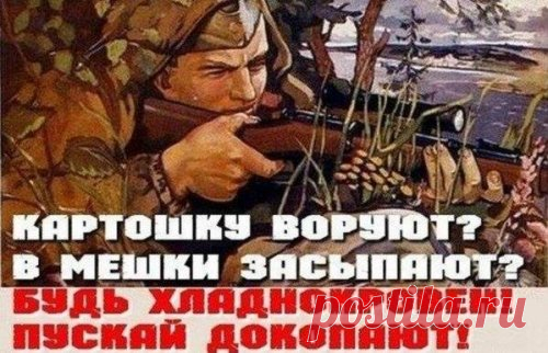 Фото-приколы вечерней пятницей (49 шт)
