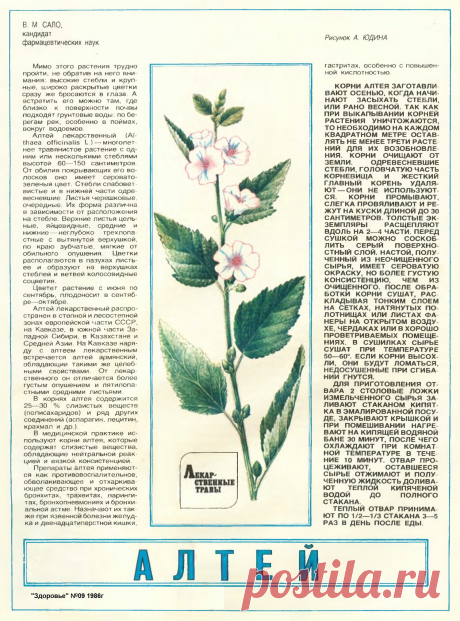 Алтей