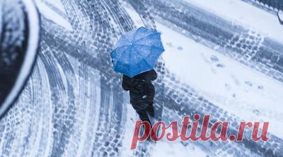 В Приморье ожидаются снегопады в преддверии Нового года. Синоптики спрогнозировали в Приморском крае снегопады в преддверии новогодних праздников. Читать далее