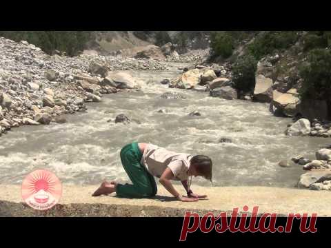 Комплекс асан для позвоночника