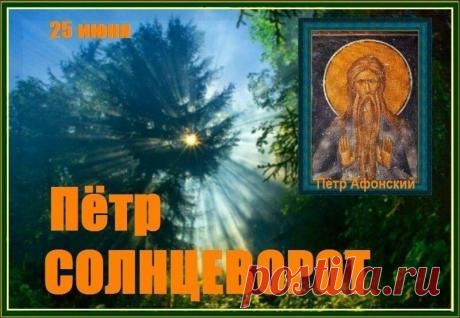 Поздравляю с праздником! В день Петра Солнцеворота природа щедро делится своим теплом. Пусть и в твоей жизни наступит настоящая золотая пора: пусть здоровье будет крепким, мысли — светлыми, а дом — полной чашей! Открытки на День работников статистики!