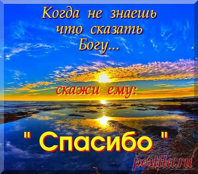 О, Господи!
Анна Опарина

О, Господи, не дай мне заболеть,
Повиснуть на руках у близких грузом,
А разреши тихонечко стареть
И вовремя в свою скатиться лузу.

О, Господи, не дай мне в тишине,
Звенящей льдом, совсем одной остаться,
Не замечать весны в своем окне,
Уже «не быть» почти, а лишь «казаться».

О, Господи, не дай мне пережить
Своих любимых. Если так случится,
То помоги мне веру сохранить,
И дальше жить, пусть раненой - но птицей.

И на меня не возложи вины,
Такой, ч...