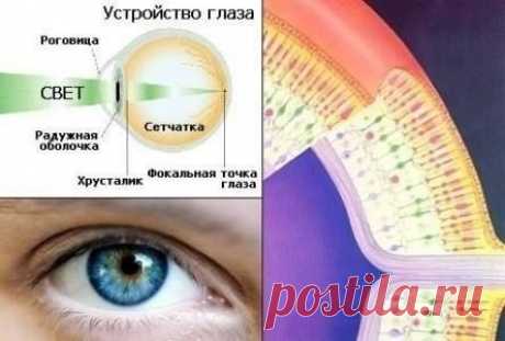 Методика улучшения зрения