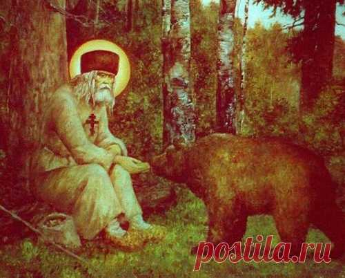 Пей там, где конь пьет