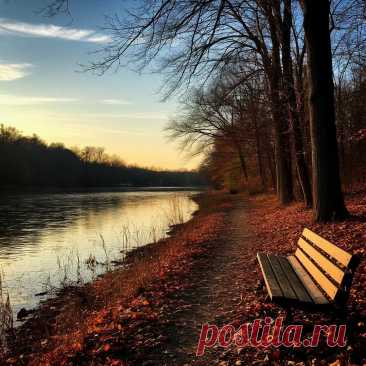 ЯСНЫЙ НОЯБРЬСКИЙ ДЕНЬ (нейросеть Шедеврум).