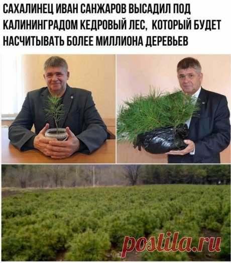 Вот это я понимаю забота о природе, а не эта ваша грета...
