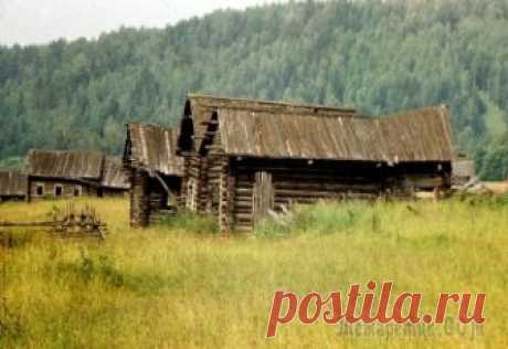 Жизнь стремиться будет к тишине (Стих) Тишь кругом. Забытая деревня.
Покосились ветхие дома,
У забора, завалившись, дремлет
Сруб колодца, высохший до дна.Тишина. Покоем всё объято.Не поёт на зореньке петух,Будто кто-то время жизни спряталИ...