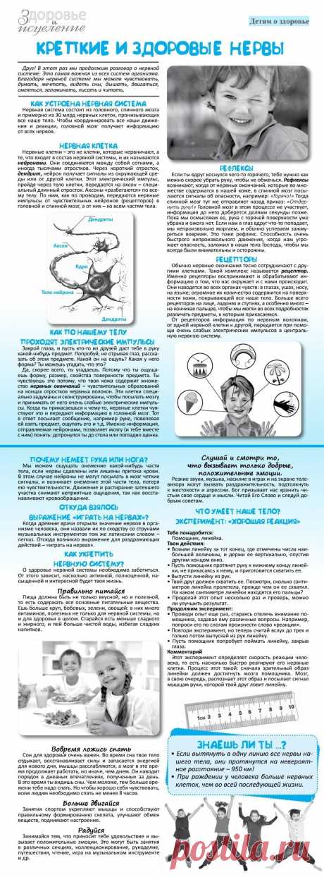 Крепкие и здоровые нервы
