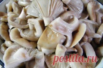 Как приготовить дома майонез «Провансаль»за две минуты! — PROKulinaroff