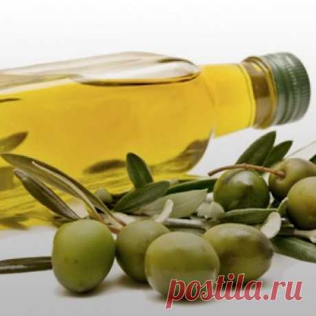 Лучшее оливковое масло: правила выбора