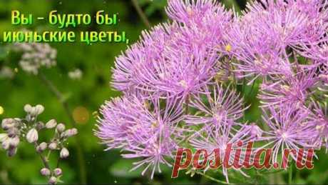 ПРЕКРАСНОЙ, КАК ИЮНЬСКИЕ ЦВЕТЫ!