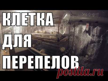 КЛЕТКА ДЛЯ ПЕРЕПЕЛОВ-СДЕЛАЛ САМ!+ОБЗОР ПЕРЕПЕЛЯТНИКА