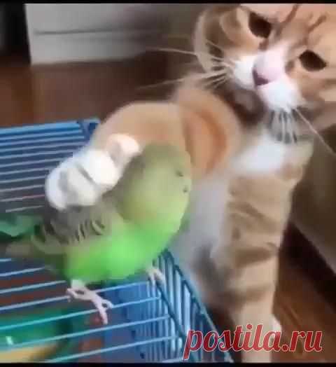 dog and baby funny #smileing dog #puppy meme hilarious #dogs hilarious #laugh dog #hilarious dogs #dogsdoingfunnythings #humor dogs #funny dog s #dog picturs #dog s #dog quots #dog and cats #dog ate…