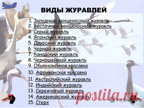 slide_4.jpg (800×600)