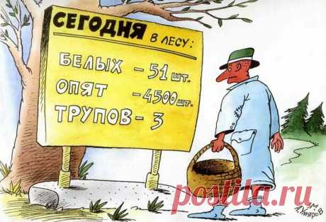ПРО ЩЕДРУЮ РОДИНУ, ДАРЫ ЛЕСА И ЖИЗНЬ ПО РАНЖИРУ | Одна Ворчунья | Яндекс Дзен