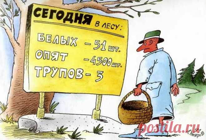ПРО ЩЕДРУЮ РОДИНУ, ДАРЫ ЛЕСА И ЖИЗНЬ ПО РАНЖИРУ | Одна Ворчунья | Яндекс Дзен